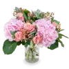 Bouquet of hydrangea